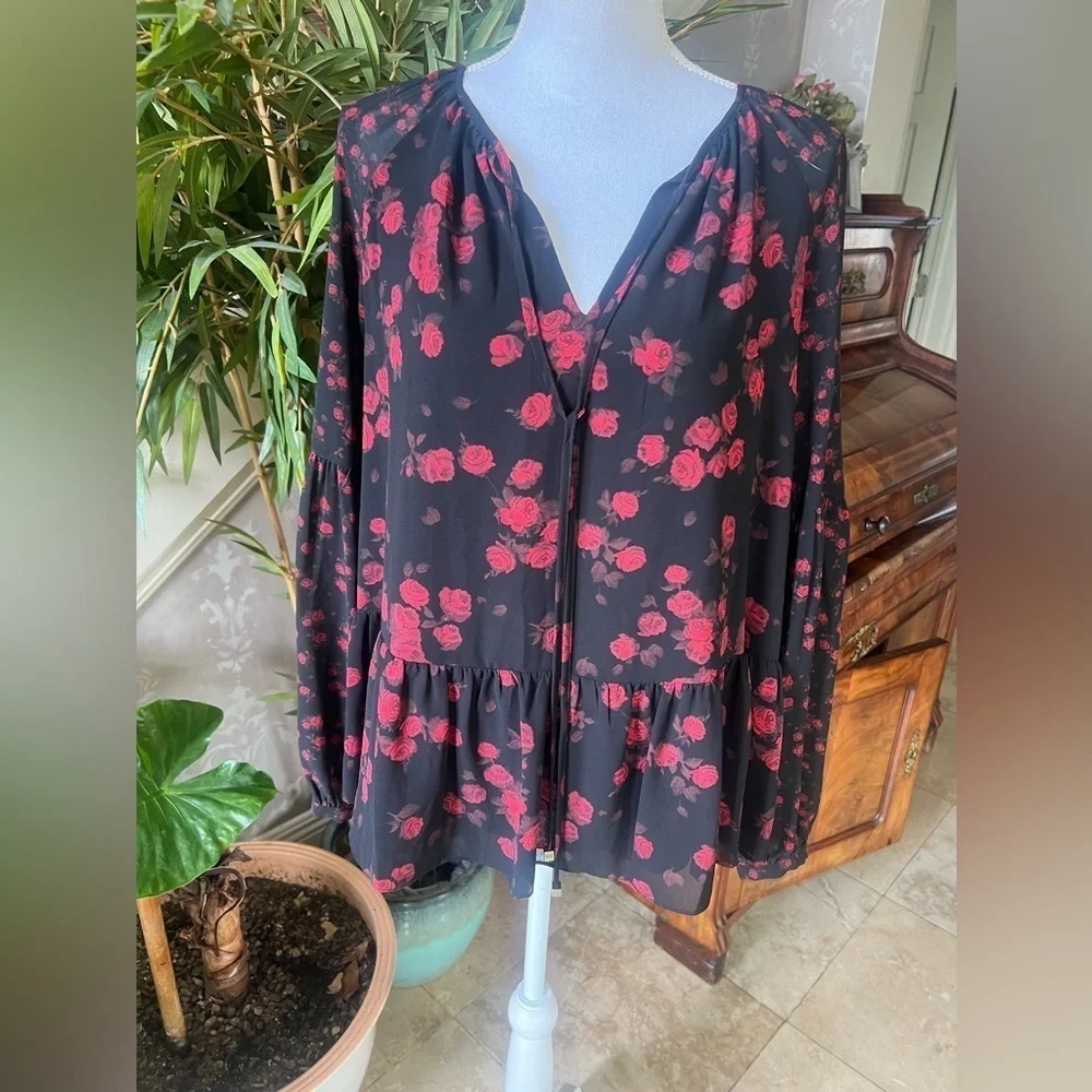 Michael Kors, ladies, long sleeve, sheer blouse, size, small excellent condition